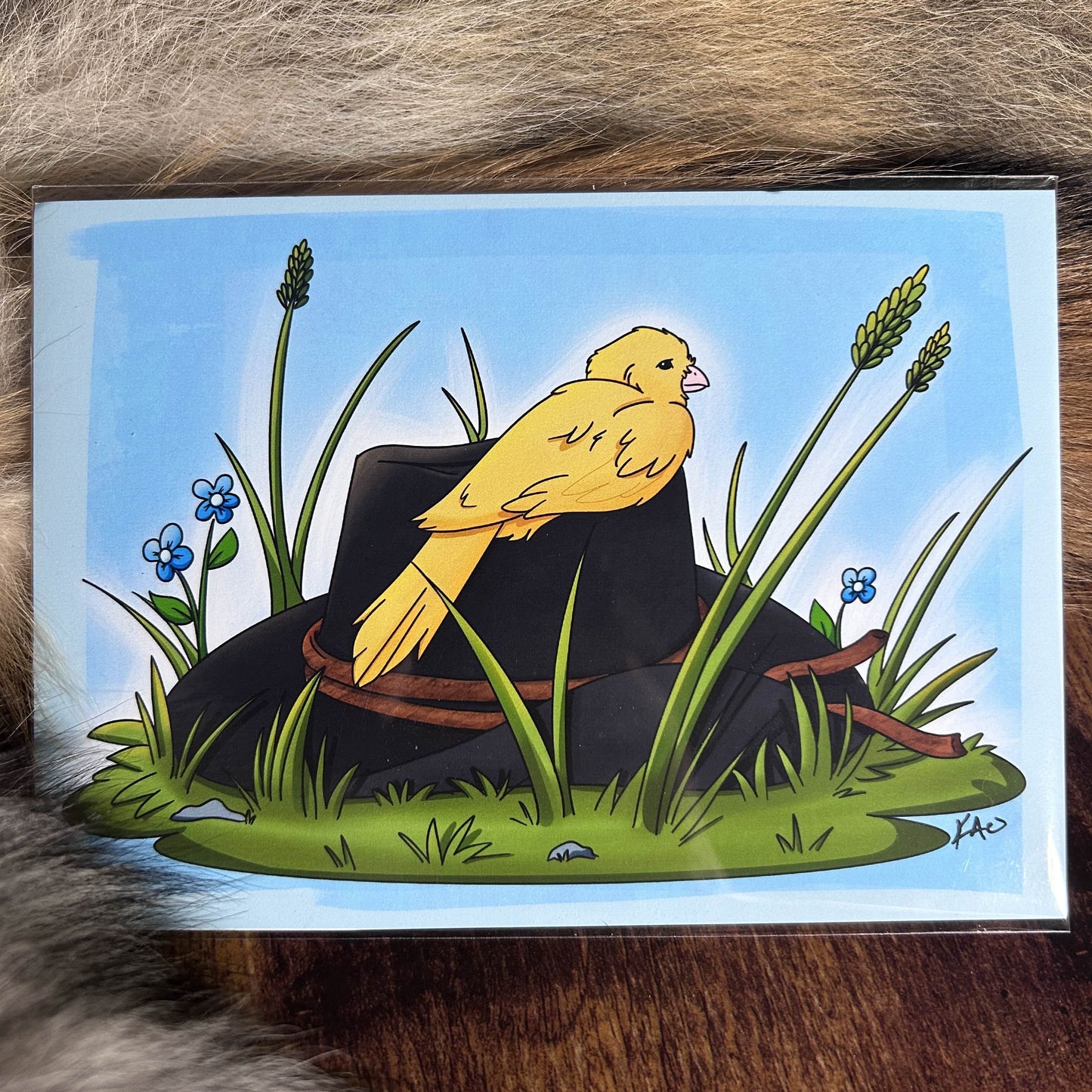 Canary Outlaw 5x7 Print